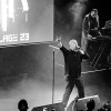 _NZ81590_klein
