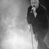 _NZ81601_klein