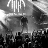 _NZ81614_klein