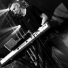 _D4S2474_klein