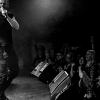 _NZ81014_klein