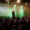 _NZ81221_klein