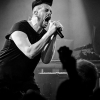 _NZ81315_klein