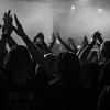 _NZ81504_klein