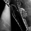 _NZ80359_klein