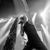 _NZ85648_klein