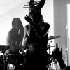 _NZ82215_klein