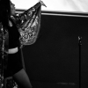 _NZ86133_klein