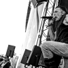 _D3S0230_klein