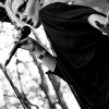 _D4S1322_klein