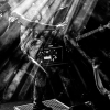 _NZ86649_klein