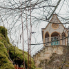 _DSC0681_klein