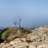 _DSC1541_klein