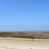 _DSC1640_klein