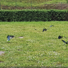 20190512_155708_klein