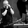 _NZ80741_klein