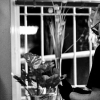 _NZ80845_klein